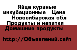 Яйца куриные инкубационные › Цена ­ 8 - Новосибирская обл. Продукты и напитки » Домашние продукты   